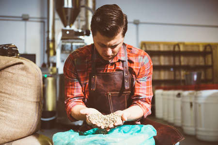 Portrait of professional coffee roaster looking down at raw coffee beans