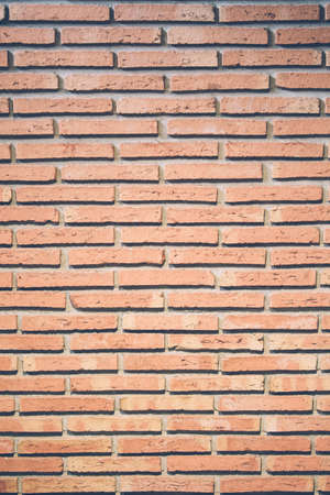 Close-up of red brickwall in daylight