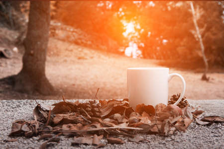 Autumn leaves and a cup of coffee. Stoned table against the golden sunset or sunrise light on the forest. Fall season, leisure time and coffee break concept.の写真素材
