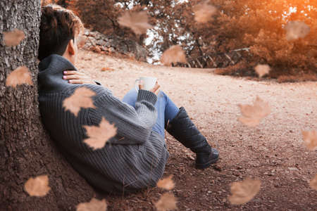 Back view of a young woman sitting in a tree in the autumn forest holding a cup of coffee while maple leaves are falling. Sunset or sunrise lights. Copy space area availableの写真素材
