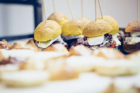 Delicious spanish tapas served on burger bread with cheese and meat and fixed with the toothpickの写真素材