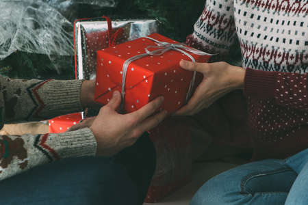 Cropped view of a young woman is receiving a Christmas gift from her beloved man under the fir tree and wearing Christmas sweatersの写真素材