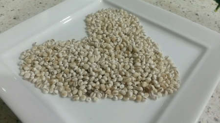 Barley grains on white plateの素材