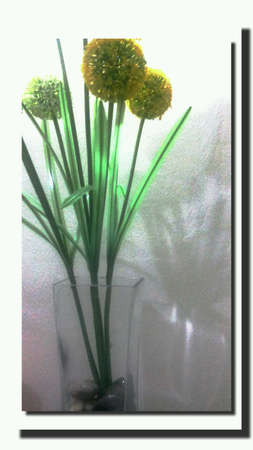 flower in vaseの素材