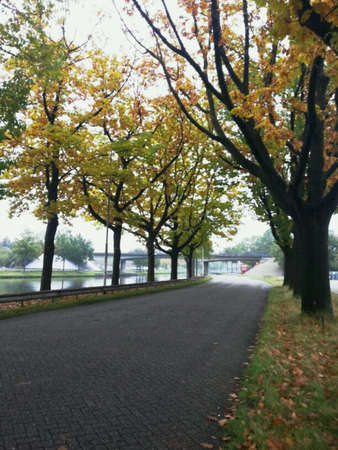 autumn parkの素材