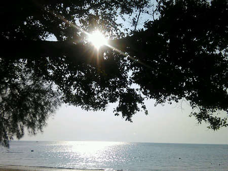 By the beachの素材