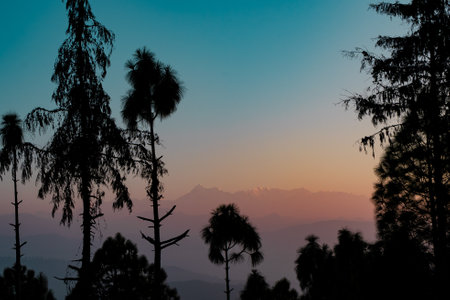 Silhouette of tree and mountain background in the morning at Mist weaves through the Mountain trees, creating an enchanting and mystical atmosphere In Uttarakhand Ekukhet Kumaonの写真素材