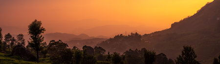 Sunset over tea plantation in Munnar, Kerala. Panoramic view.