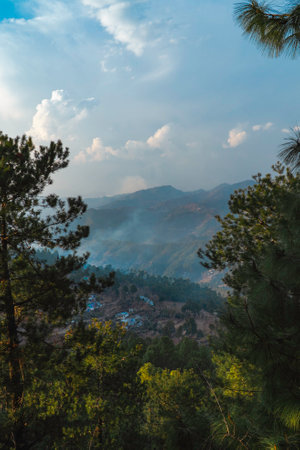 Beautiful mountain landscape with pine forest at Phu Kradueng National Park, Loei, Thailand