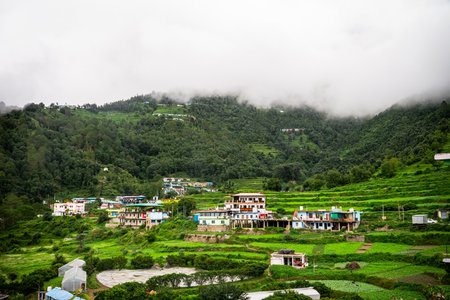 Nature's Beauty in Rural Uttarakhand Mountain Valley at Rautu Ki Beli â Also Known as Paneer Villageの写真素材