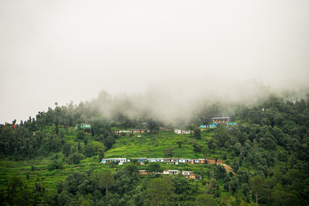 Nature's Beauty in Rural Uttarakhand Mountain Valley at Rautu Ki Beli â Also Known as Paneer Villageの写真素材