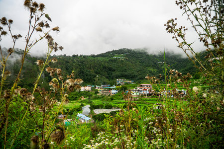 Nature's Beauty in Rural Uttarakhand Mountain Valley at Rautu Ki Beli â Also Known as Paneer Villageの写真素材