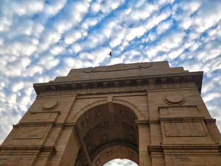 In order to fly, you've to let go of the world that you're hanging onto.の写真素材