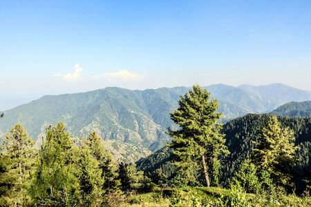 Thandiani is a hill station in the Galyat area of Khyber Pakhtunkhwa the Province of Pakistan.