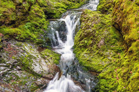 Waterfall between the Rocky Mountains and Jungle in Canada