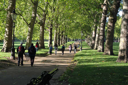 Walking through Green Park in autumnの写真素材