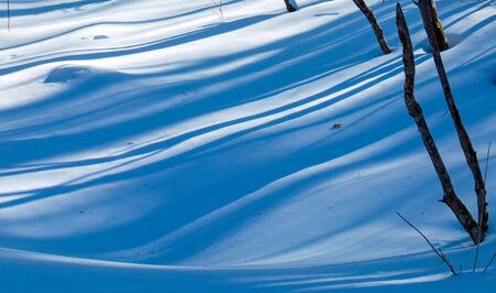 Painted Snowの写真素材