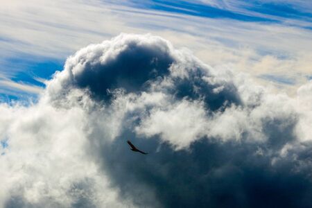 Stormbringerの写真素材
