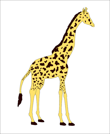 Giraffe is animal live at africa, illustrations cartoonのイラスト素材