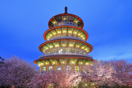 Beautiful Sakura Garden in Taipei, Taiwanのeditorial素材
