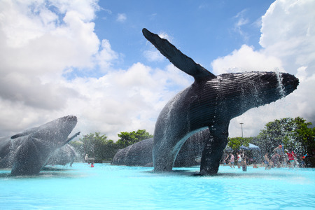 The National Museum of Marine Biology and Aquariumのeditorial素材
