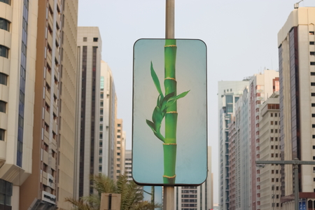 SAVE TREE - SAVE PLANET CONCEPTのeditorial素材