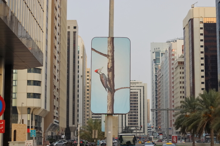 SAVE TREE - SAVE PLANET CONCEPTのeditorial素材