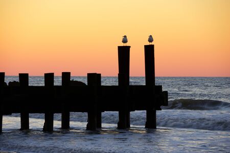 The sun setting over the ocean.の写真素材