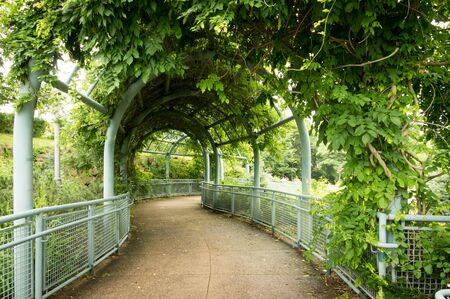 An archway over a garden pathway.の写真素材