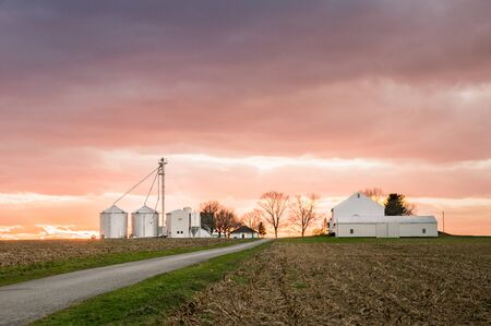 Farm buildings in the light of the eveing sunset.の写真素材