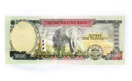 Nepali rupees in different size currency.の写真素材