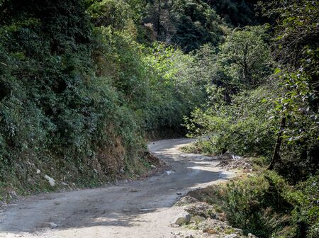 A dirt road winding throught the trees.