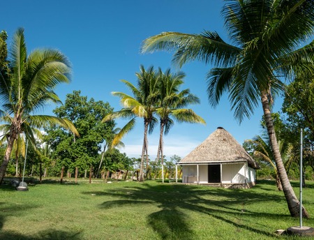 A thatched roof house in the countryside of Guatemala surrounded by palm trees.の写真素材