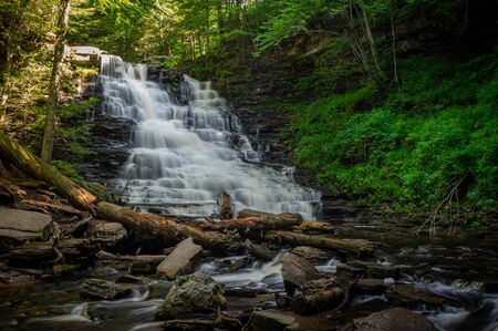 Small waterfalls along the stream as it winds it way through the forest.