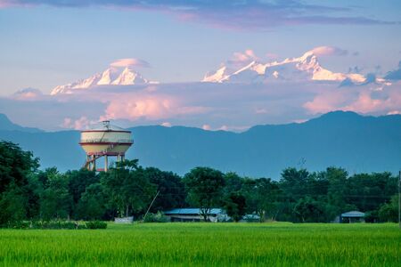 Beautiful green rice fields with the sunset shining on the Himalaya Mountains in the background.の写真素材