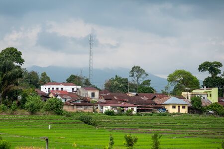 A Radio Tower in a Small Indonesian Village Surrounded by Green Rice Fields