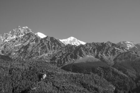 The beautiful pine covered hills with the snow peaks of the Himalayas in Nepal in the background.の写真素材