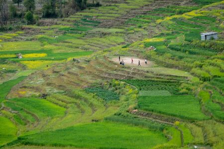 The beautiful green terraces on a hillside in Nepal.の写真素材