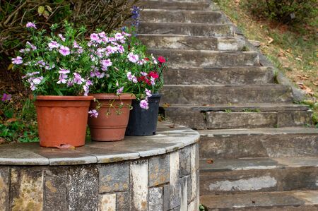 Steps leading upwards with flower pots on the side.