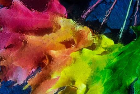 An abstract colored background covered with water droplets.の写真素材