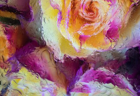 An abstract colored background covered with water droplets.の写真素材