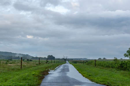 A paved road in the marshy wetlands under stormy skies.の写真素材