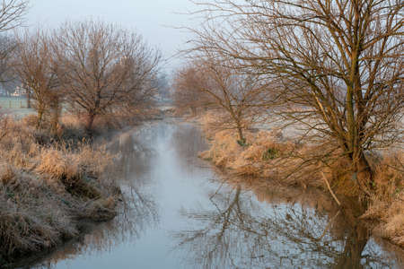 A stream lined with trees in a pasture in the early morning light.