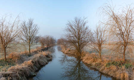 A stream lined with trees in a pasture in the early morning light.の写真素材