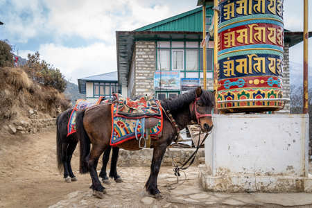 Two pack horses tied to a prayer wheel beside the trail.の写真素材