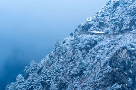 A hillside of trees and rocks covered in snow on a winters evening.の写真素材