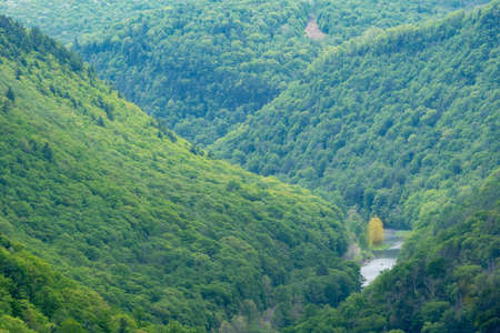 The beauty of the Pine Creek Gorge in the springtime.の写真素材