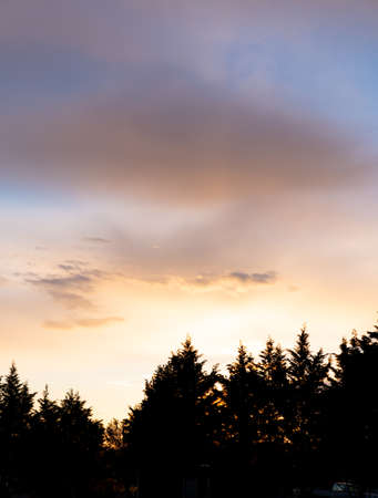 A vertical photo of a susnet over the silhouetted evergreen trees.
