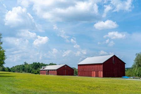Two red barns in the rolling hills of Pennsylvania surrounded by grassy fields.