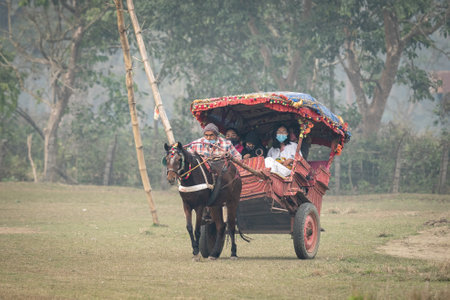 Chitwan, Nepal - February 2, 2022: A pony pulling a cart of tourist in the Chitwan National Park.のeditorial素材